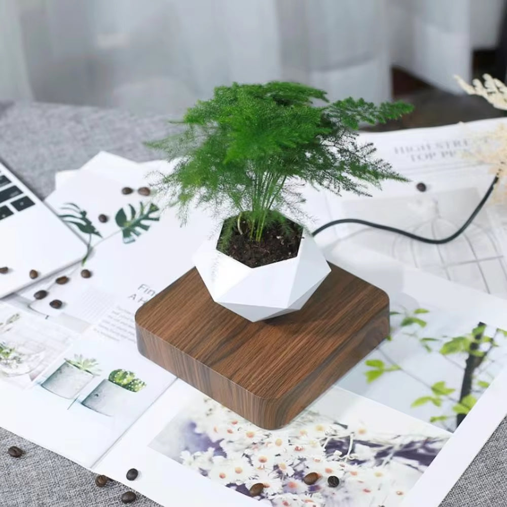 Magnetic Levitating Air Bonsai Pot - Floating Planter for Stunning Home Decor