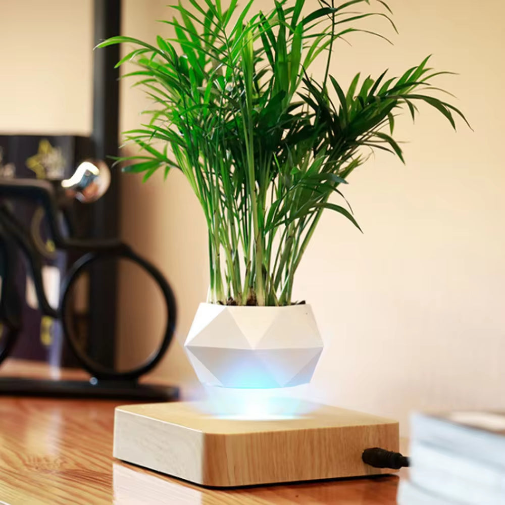 Magnetic Levitating Air Bonsai Pot - Floating Planter for Stunning Home Decor