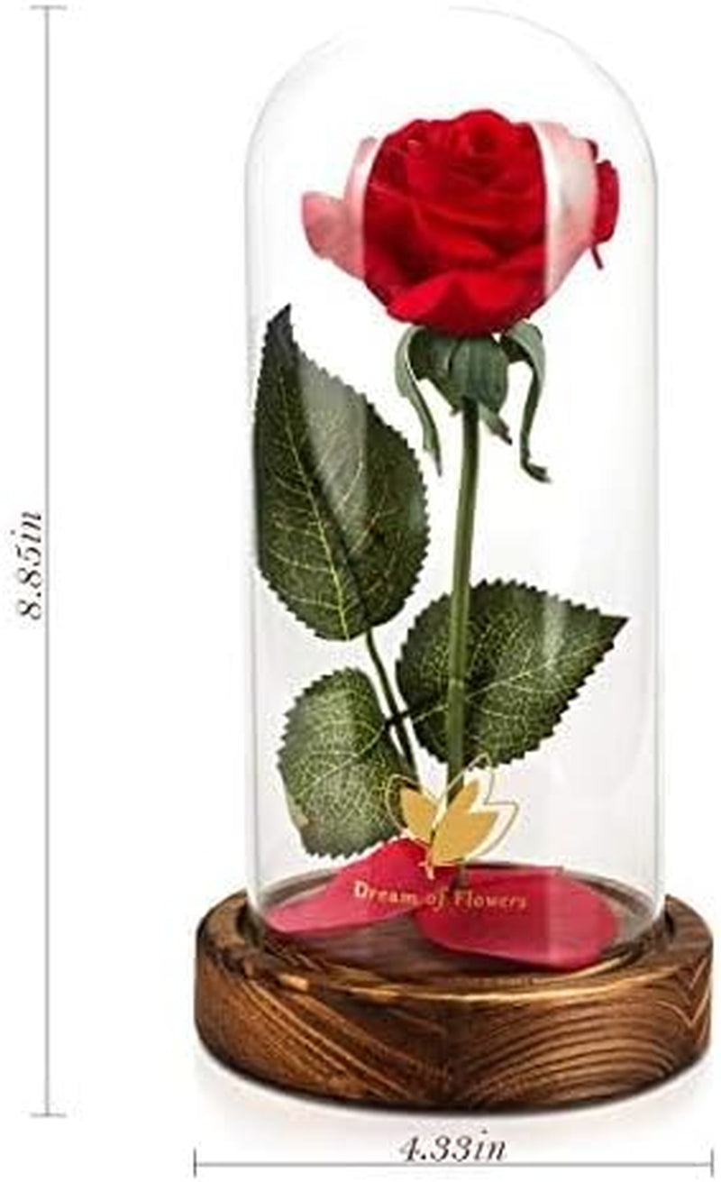 Enchanting Forever Rose in Glass Dome with LED Lights - Perfect Valentine's Day Gift for Her, Mom, Wife, Anniversary, Birthday, and Wedding Home Decor